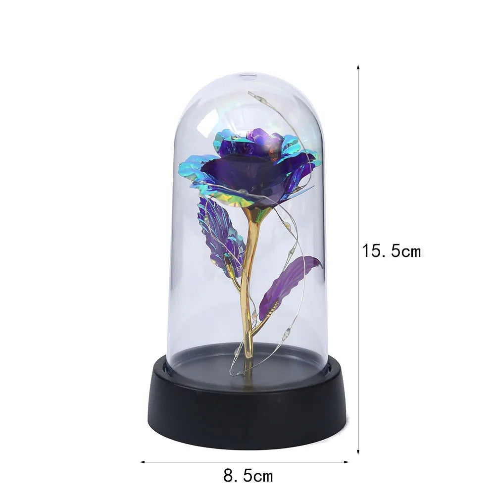 Everlast Beauty Rose in Glass Dome - Eleganzairee